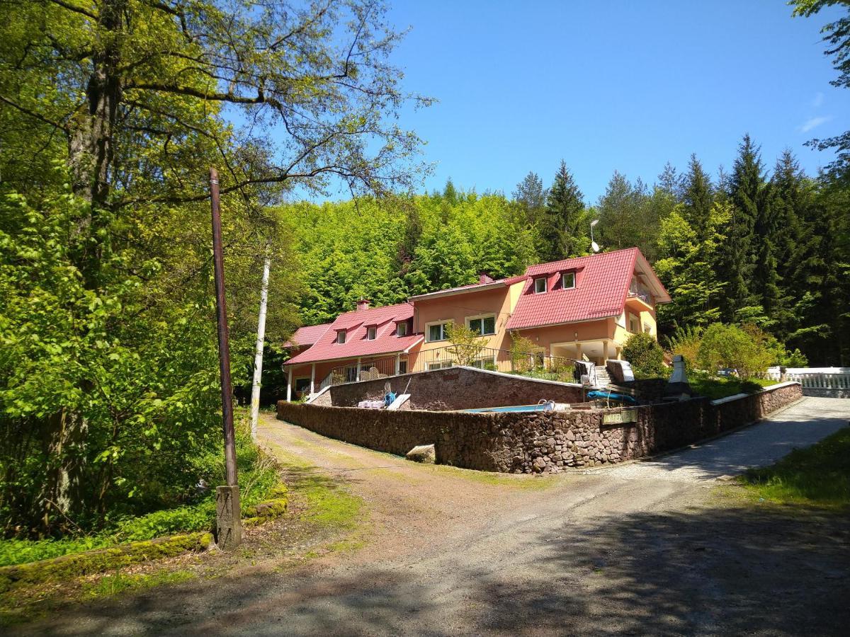 Dworek Lesny Kudowa-Zdrój Exteriör bild