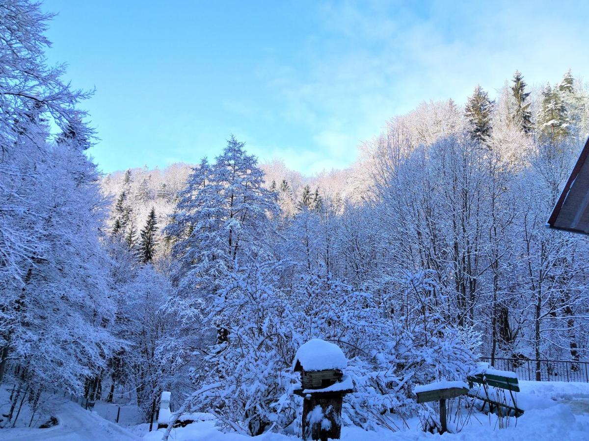 Dworek Lesny Kudowa-Zdrój Exteriör bild