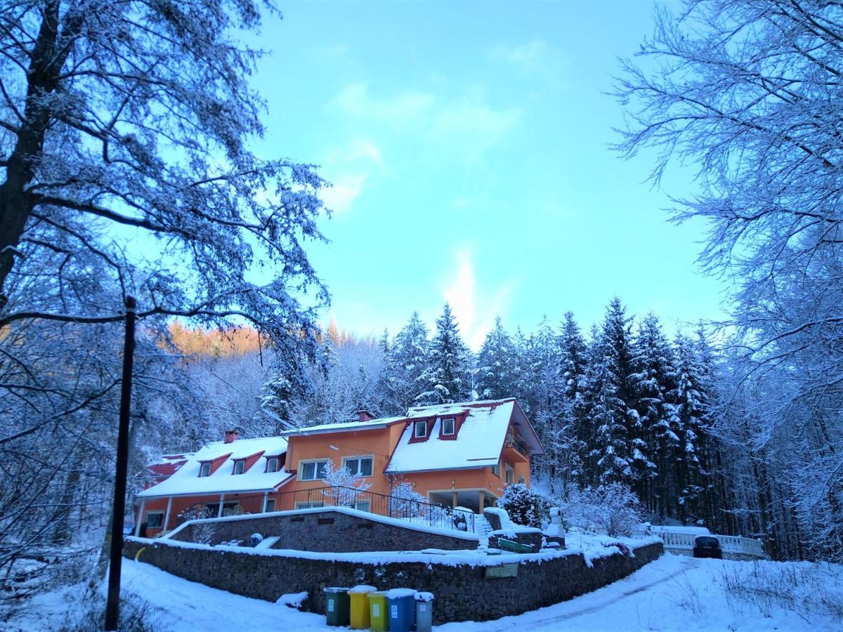 Dworek Lesny Kudowa-Zdrój Exteriör bild