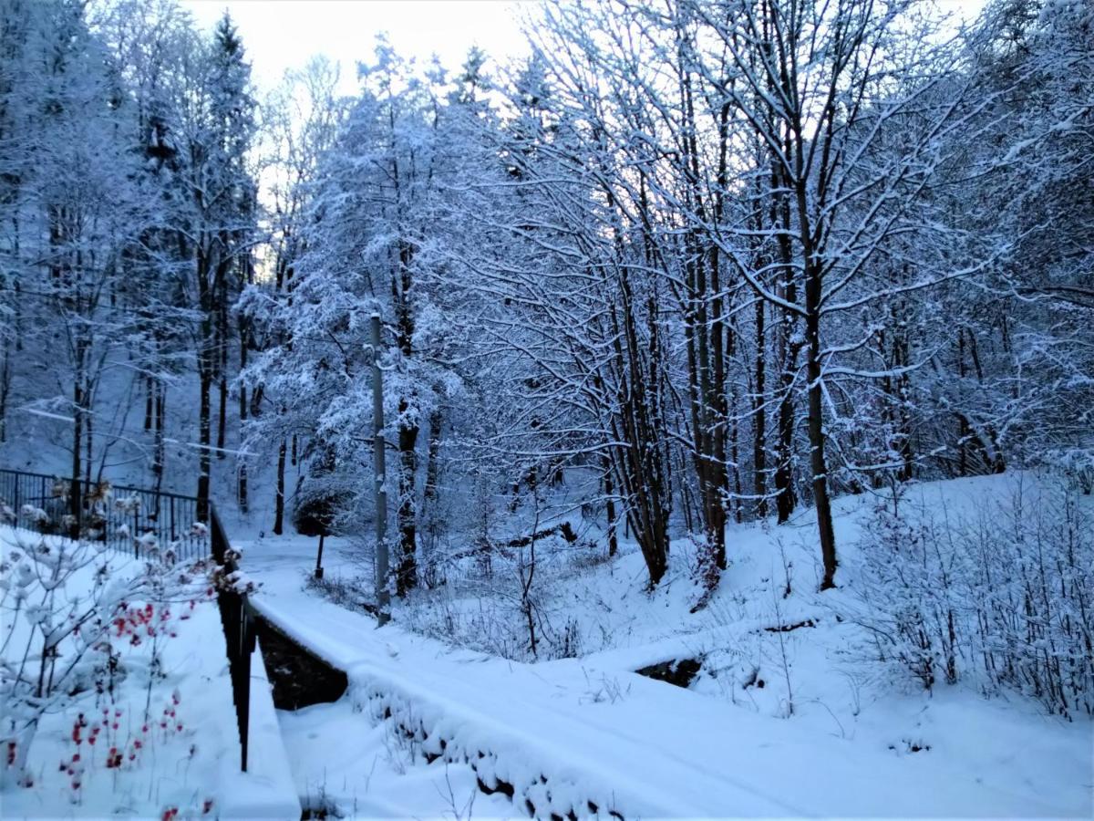 Dworek Lesny Kudowa-Zdrój Exteriör bild